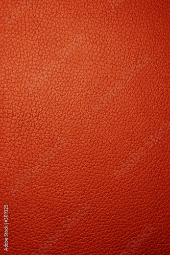 red leather - macro © klikk