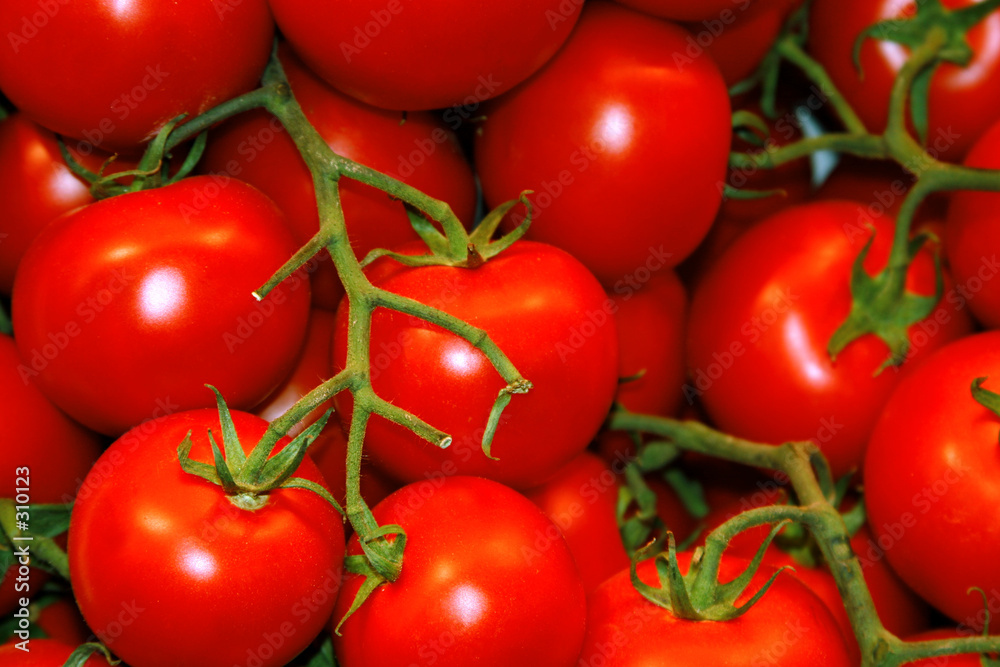 tomatoes tomatoes