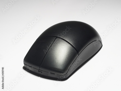 souris noire