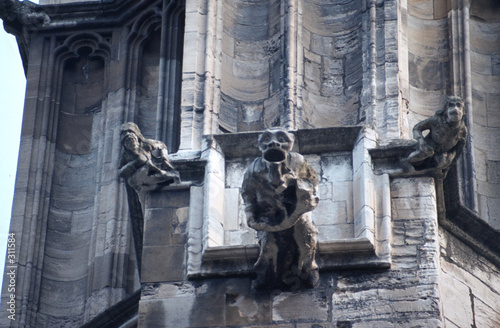 wasserspeier am münster