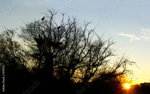 couché de soleil camargais