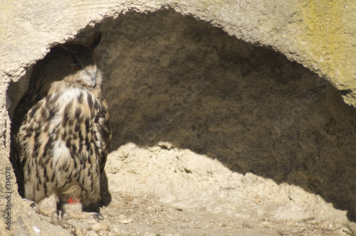 grand duc 1