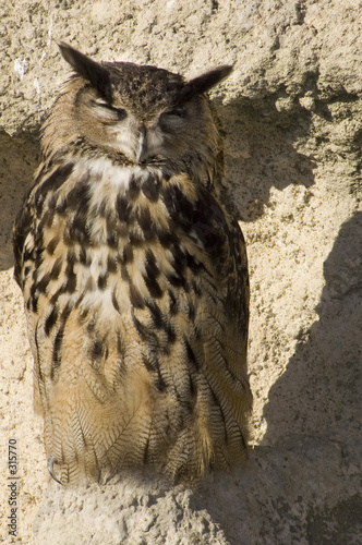grand duc 2
