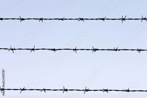 barbed wire fence