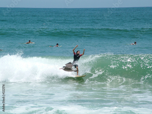 surfeur avec oiseaux