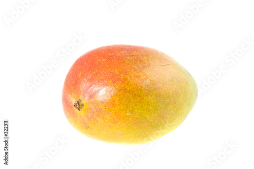 much ado about mangos 5