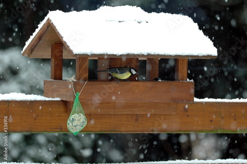 futterhaus