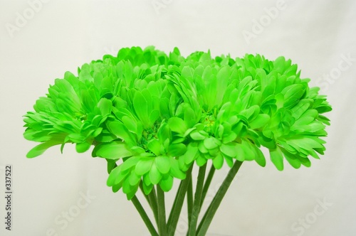 green flowers