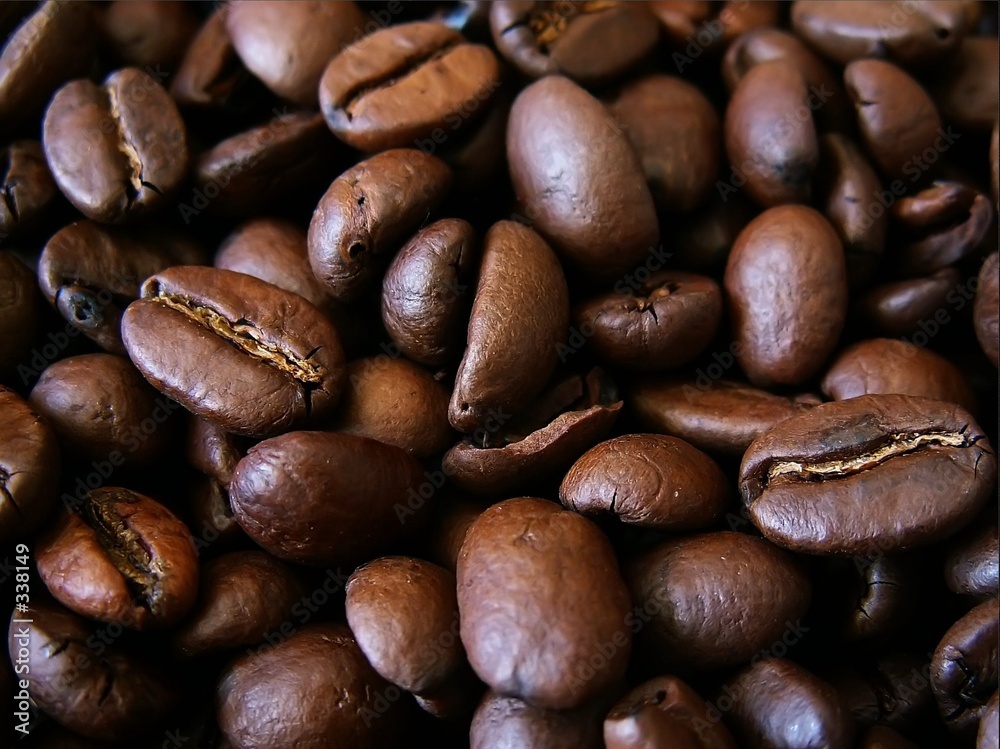 Naklejka premium coffee