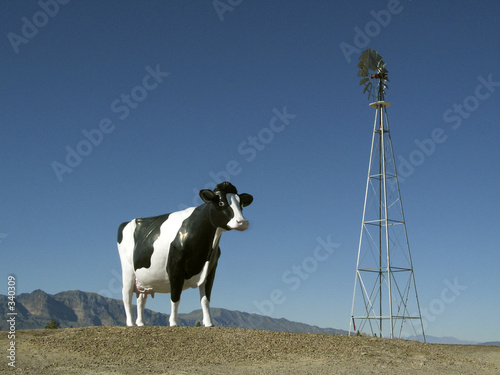 cow