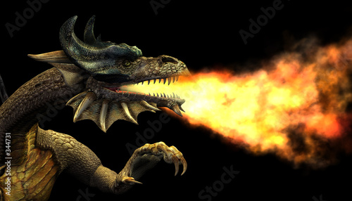 fire breathing dragon portrait #344731