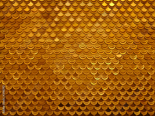 gold fish