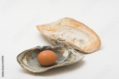 egg pearl photo