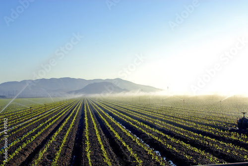 irrigation © weberfoto