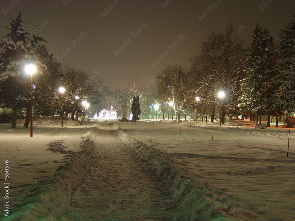 winter evening in the park