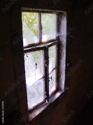 das fenster zum hof