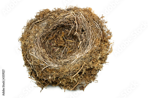 natural nest