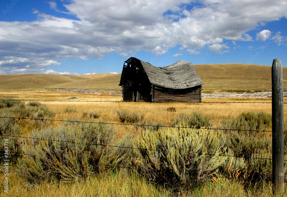 Fotografie saddleback barn 3
