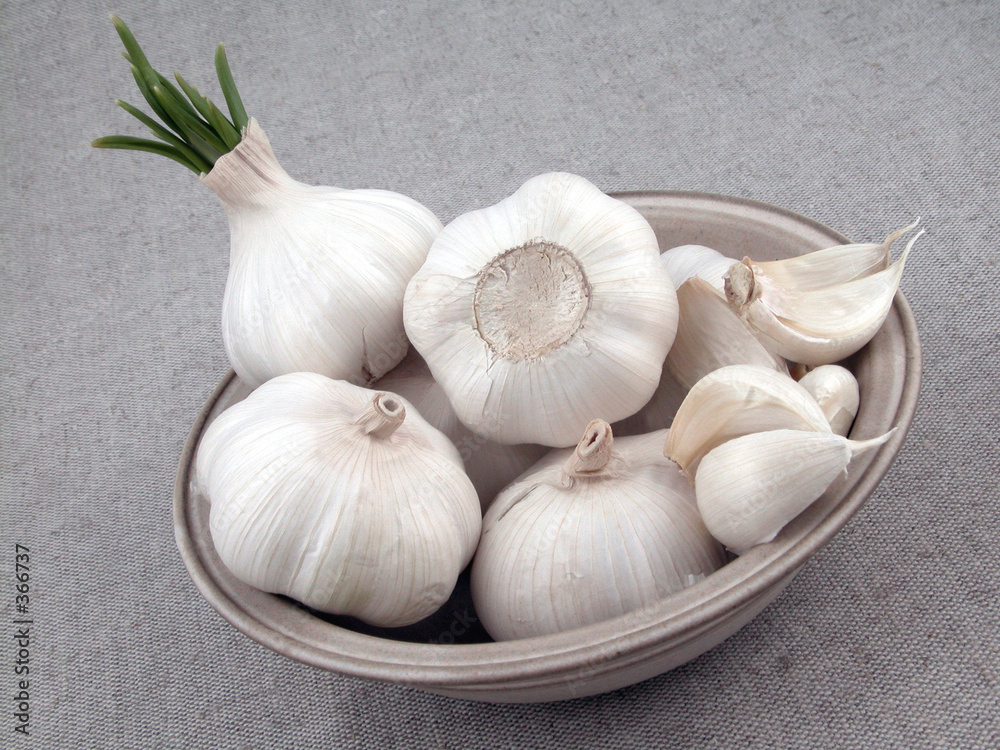 garlic garlic