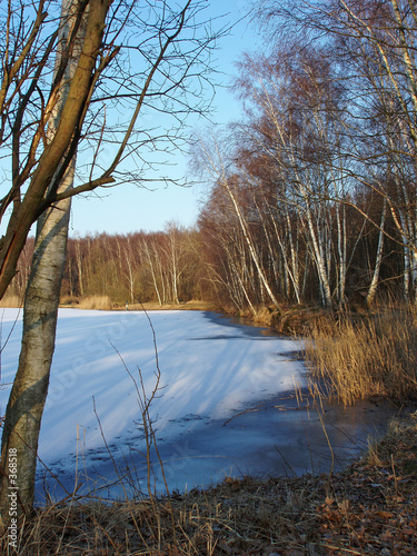 winterstimmung am see