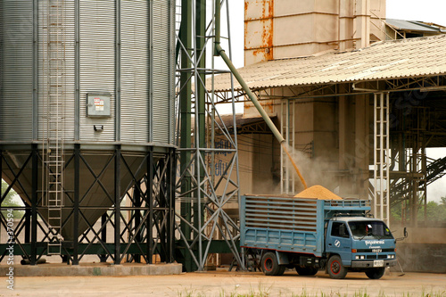 rice industry