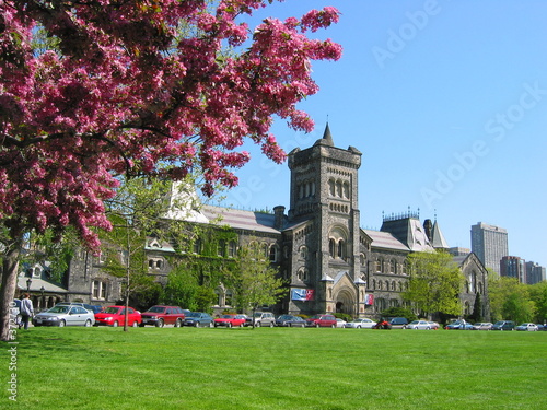 Obraz na plátně university of toronto flowering crabapple tree