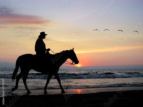 lone rider at sunset