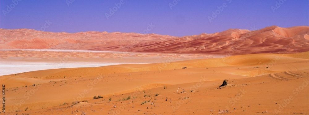 Fotografie pink desert with chocolate sauce