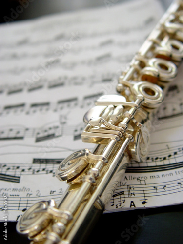 Foto flute on music notes