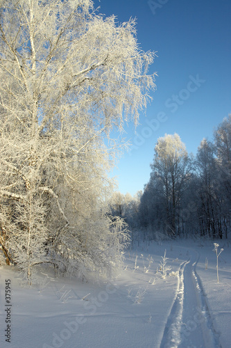 winter stroll