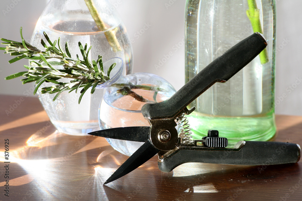 Konstfotografi bouturage