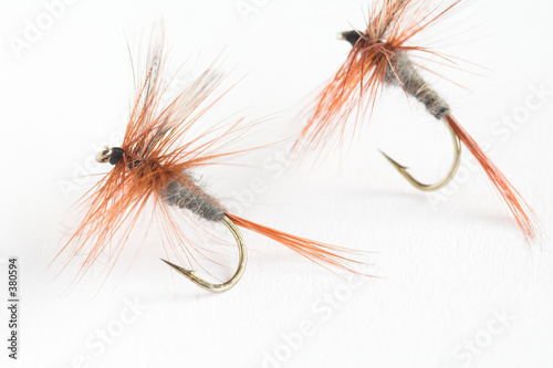 Obraz na płótnie trout fly