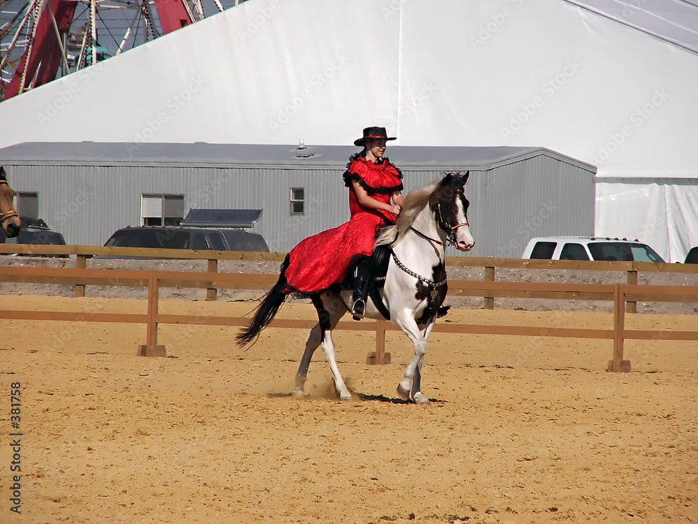 Photography paso fino