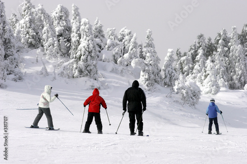 family skiing downhill