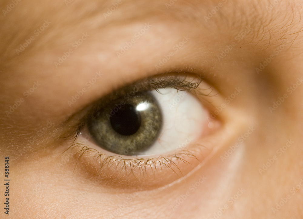 Obraz premium regard vert