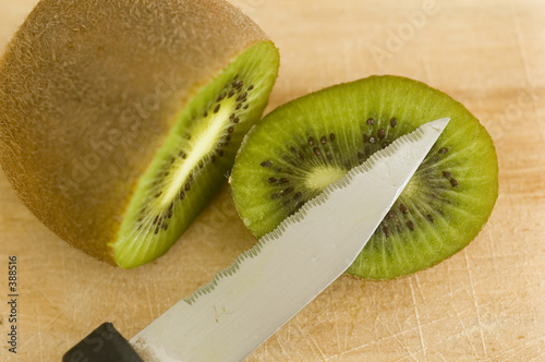 le kiwi sous toutes les coutures