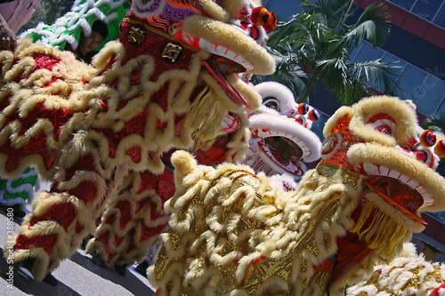 chinese lion dance photo