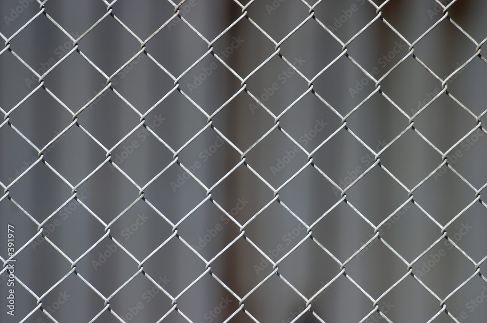 Fototapeta premium chicken-wire background (selective focus)