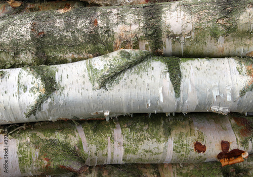 Fototapeta Naklejka Na Ścianę i Meble -  birch logs background