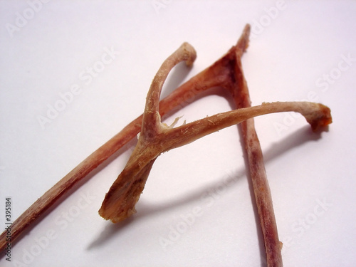 abstract wishbones photo