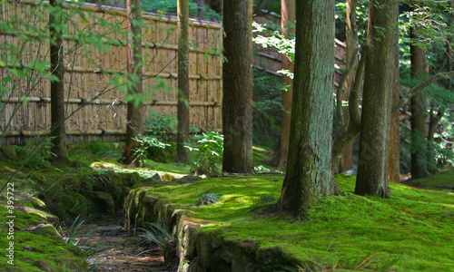 japanese garden photo