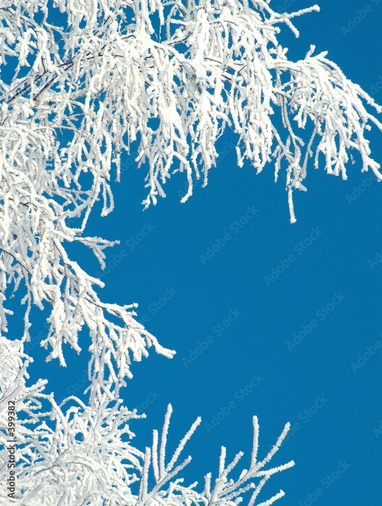 Fototapeta premium winter lace