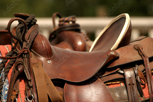 saddle gear