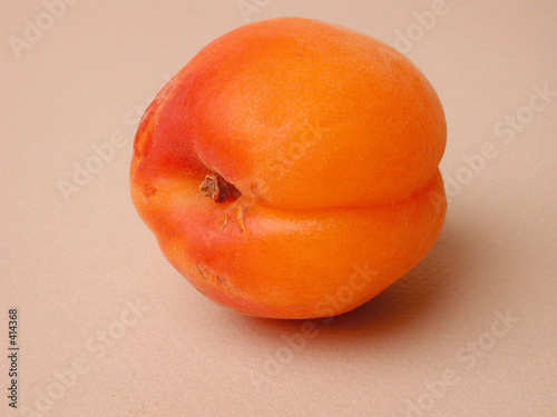 abricot gros
