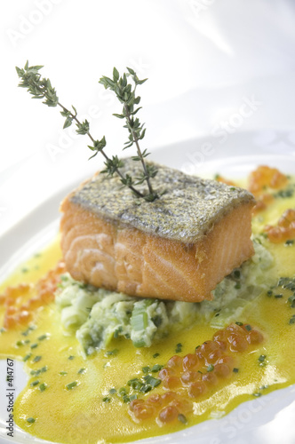 Fényképezés salmon