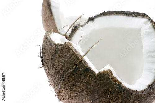 coconut photo