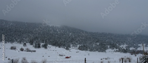 paisaje de invierno