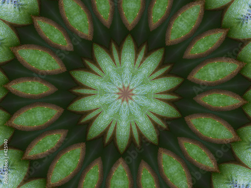 kiwi kaleidoscope