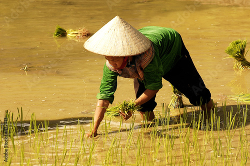 people of sapa in vietnam