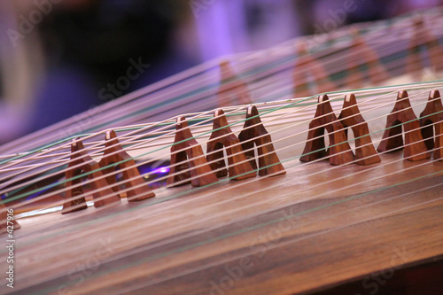 Принти на полотні koto instrument